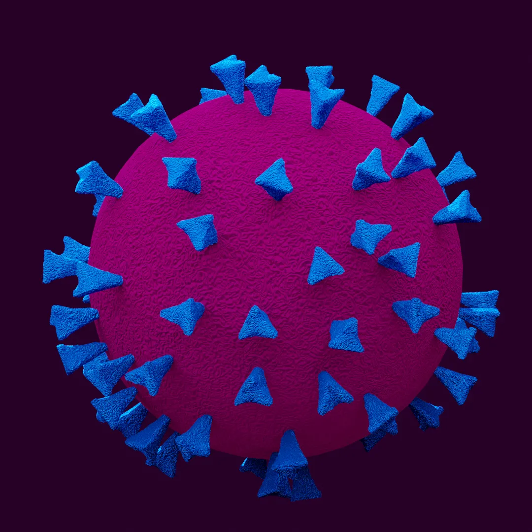 3D model of the covid-19 virus